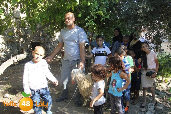 dabe7 ludj31 (26).JPG